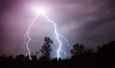 Nature Photography